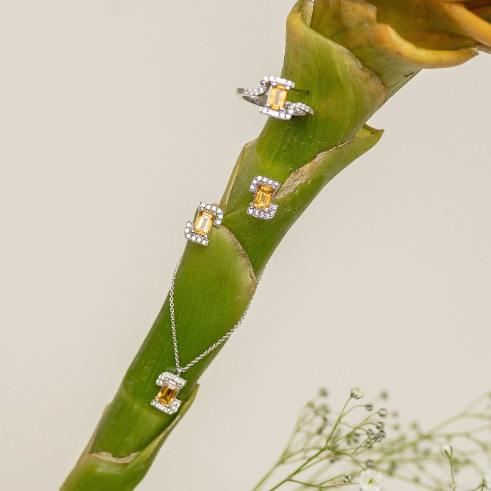 botanica2