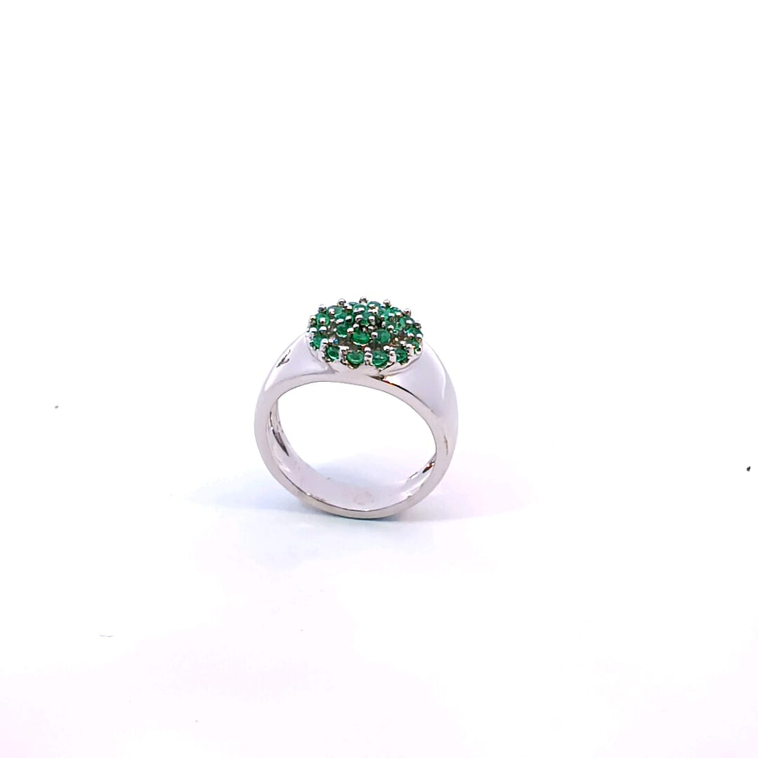 img-anillo-nevados-glaciar-vekior.bk